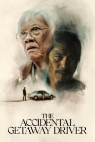 The Accidental Getaway Driver 2025 full movie