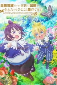 SHIROHIYO – Reincarnated as a Neglected Noble: Raising My Baby Brother with Memories from My Past Life 2025