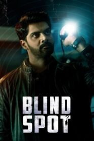 Blind Spot 2025 full movie