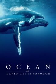 Ocean with David Attenborough 2025 full movie