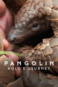 Pangolin: Kulu’s Journey 2025 full movie